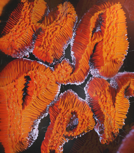 3d cover art for drakes song signs